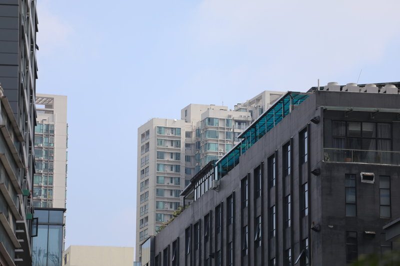 液态壁纸选购指导详解轻松打造个性化墙面效果