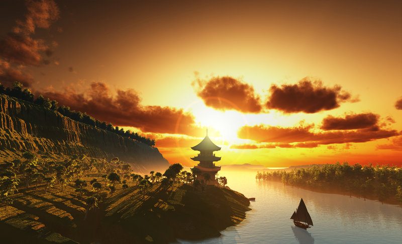 室内植物摆放技巧如何优化家居环境提升美感与舒适度