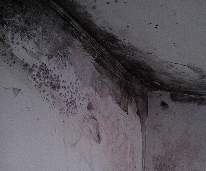 阴雨天怕发霉？没关系，我已经帮你找到合适的处理妙招！