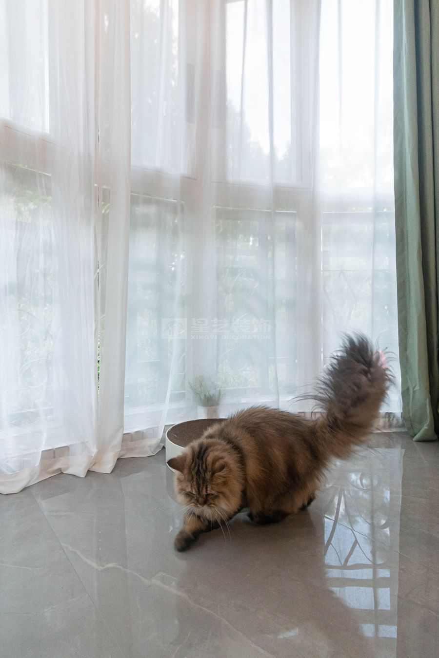 双生·林光间(图14)