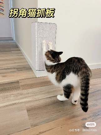 你知道适宠化设计吗?家里有猫狗的进来看装修建议(图2) 你知道适宠化设计吗?家里有猫狗的进来看装修建议(图2)