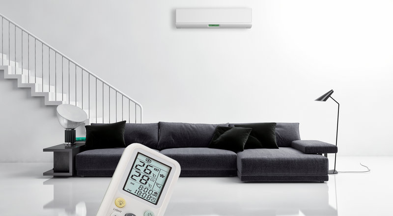 马蹄莲的家居摆放技巧