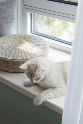 你知道适宠化设计吗?家里有猫狗的进来看装修建议(图8) a08952fcc78bd667ec079ed1e9965c33.png