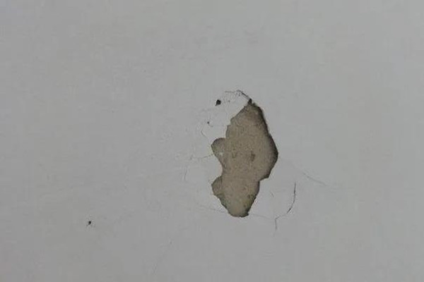 这样灭蟑螂最彻底——防“小强”，从装修开始抓起(图2)