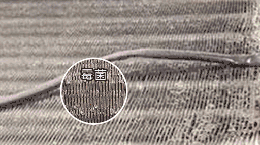 莫让“脏”空调成为你健康的隐形“杀手”(图3) 莫让“脏”空调成为你健康的隐形“杀手”(图3)