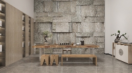 龙湖双珑原著(图7)