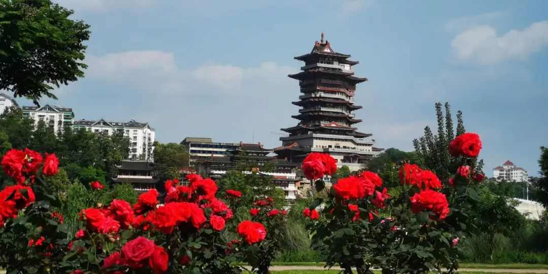 秘境之约—蜀地文旅叁城记(图19)