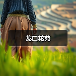 龙口花苑（图3）