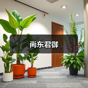 尚东君御