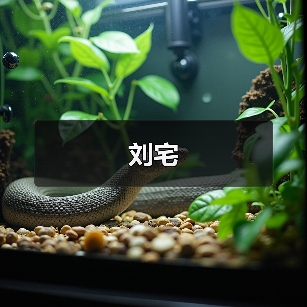 刘宅
