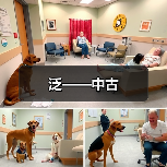 泛——中古（图3）