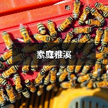 素庭雅溪（图2）