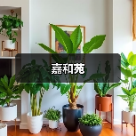 嘉和苑