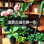 逸翠庄园天御一街（图4）