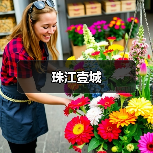 珠江壹城（图2）