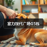 富力现代广场G5栋（图4）