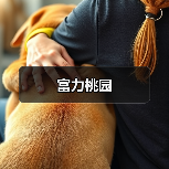 富力桃园（图4）