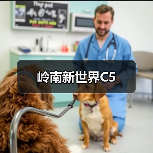 岭南新世界C5（图2）