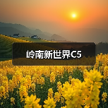岭南新世界C5（图4）