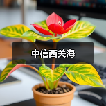 中信西关海（图2）