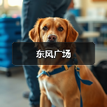 东风广场（图2）