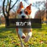富力广场（图2）