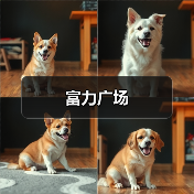 富力广场（图4）