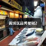 黄埔区品秀星樾2（图4）