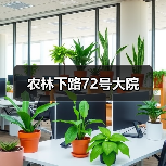 农林下路72号大院（图1）
