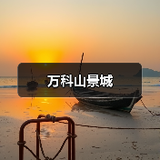 万科山景城（图3）