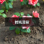 时光漫叙（图3）