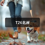 T26北岸（图1）