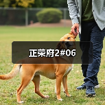 正荣府2#06（图1）
