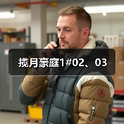 揽月豪庭1#02、03（图4）