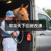 御龙天下旧房改造（图4）