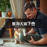 星海天宸下叠（图3）