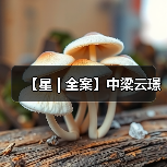 【星 | 全案】中梁云璟（图3）