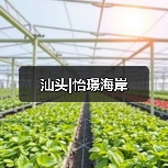 汕头|怡璟海岸（图2）