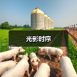 光影时序（图4）