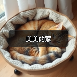 美美的家（图2）