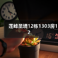 莲峰圣境12栋1303房12（图3）