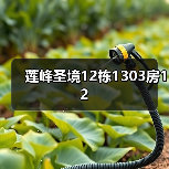 莲峰圣境12栋1303房12（图4）