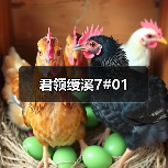 君领绶溪7#01（图4）