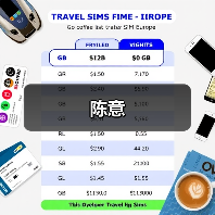 陈意（图1）