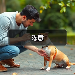 陈意（图4）