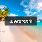 汕头|君悦海湾（图3）