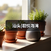汕头|君悦海湾（图4）