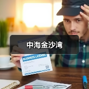 中海金沙湾（图2）