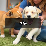 李宅（图3）
