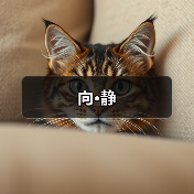 向·静（图4）